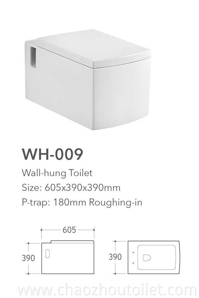 Wh 009 Wall Hung Toilet